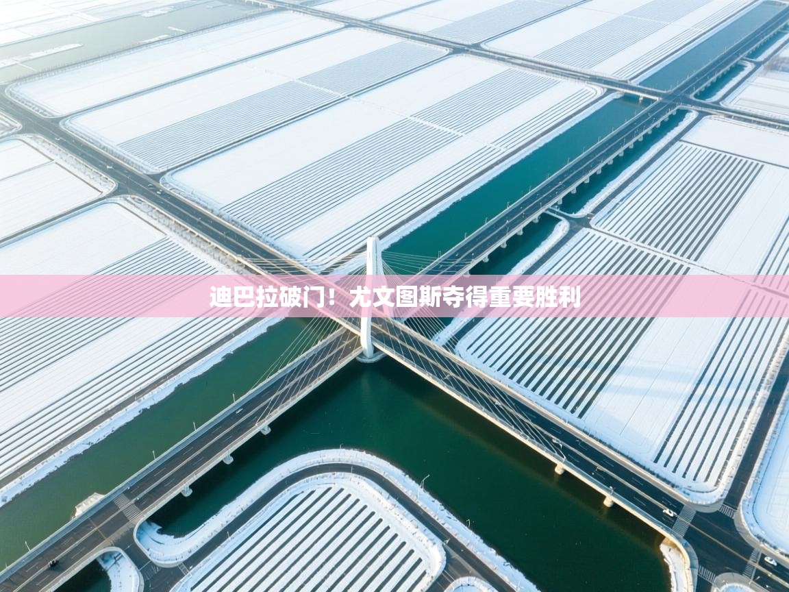 迪巴拉破门!尤文图斯夺得重要胜利 第2张