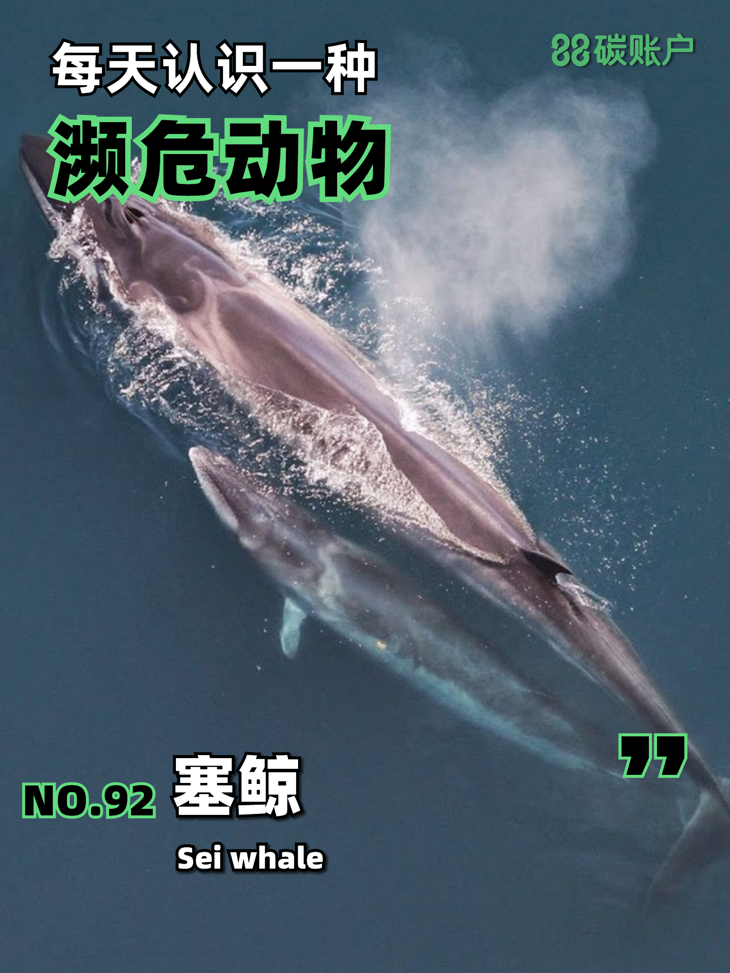 米乐官网入口-包含法国游泳强将凭借出色发挥获得头名的词条