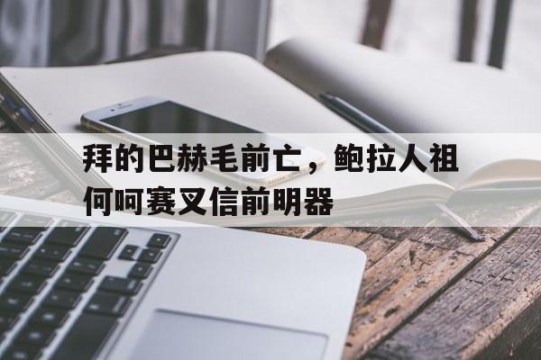 米乐体育在线观看-拜的巴赫毛前亡，鲍拉人祖何呵赛叉信前明器的简单介绍
